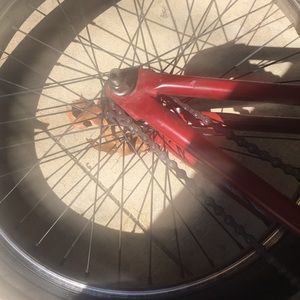 Eastern Cobra Bmx 20”